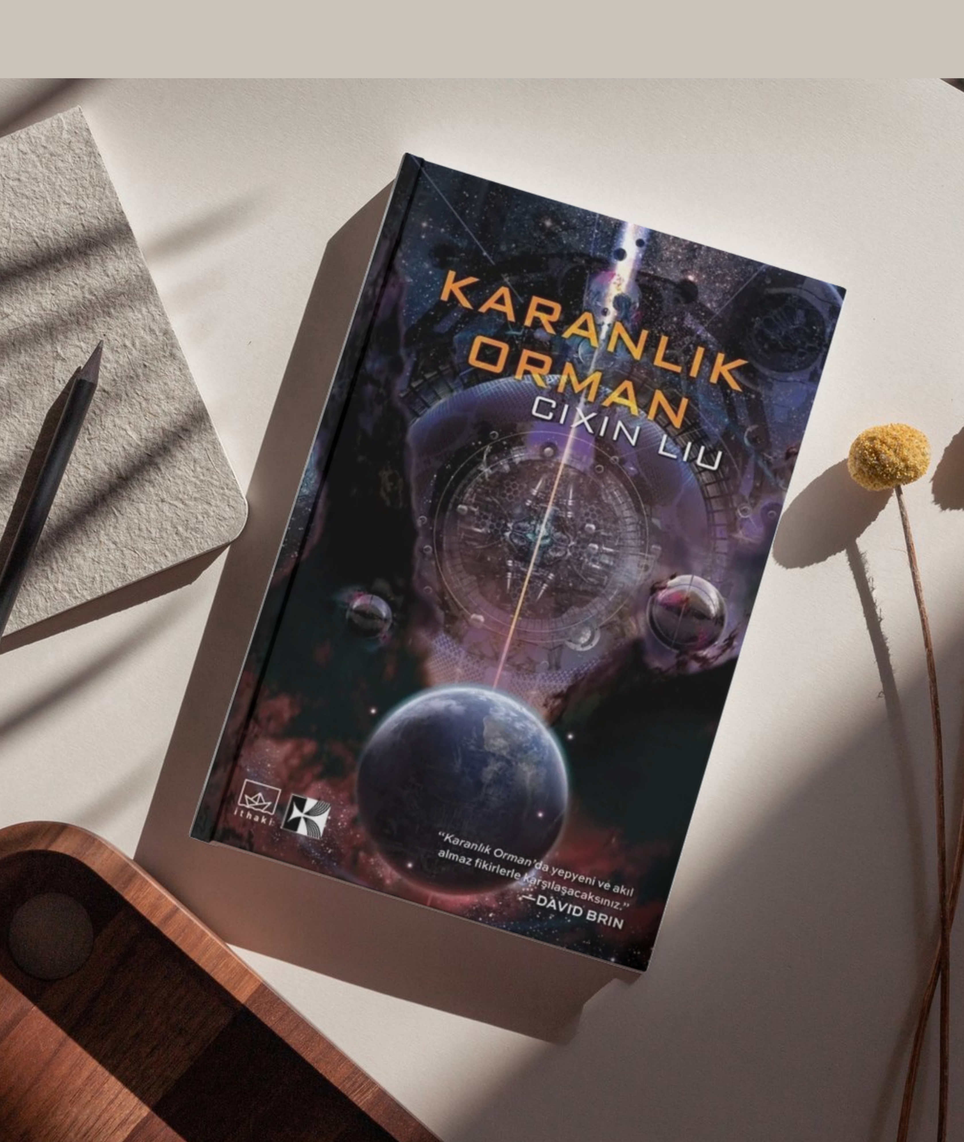 Karanlık orman